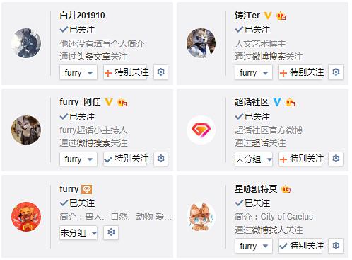 这是我刚接触兽圈时的关注列表