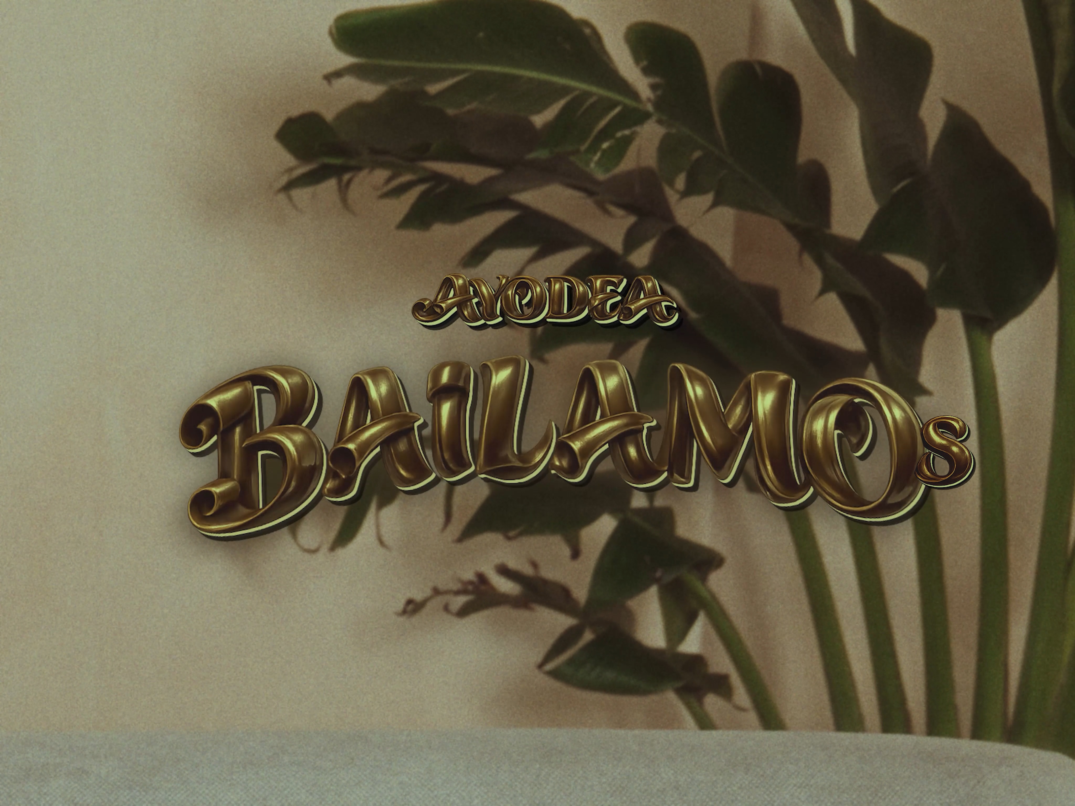 BAILAMO_AYODEA - Image 5