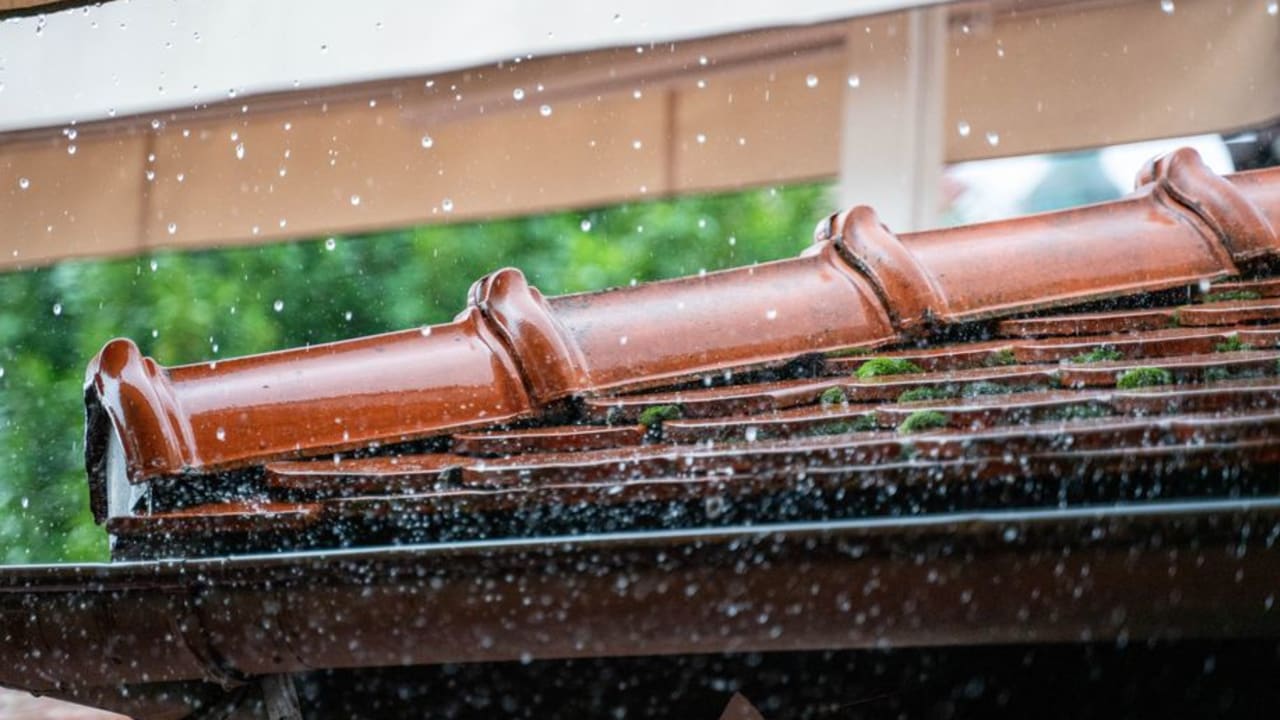 Waterproofing Solutions Lucknow: 5 Signs Your Home Needs Immediate Help