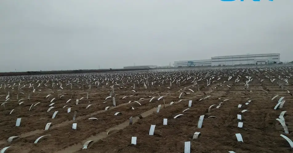 Bấc thấm hút chân không là gì ? 