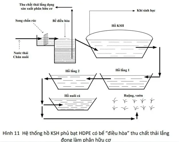 Hầm Biogas Phủ Bạt Nhựa HDPE Giải pháp sáng tạo cho năng lượng tái tạo