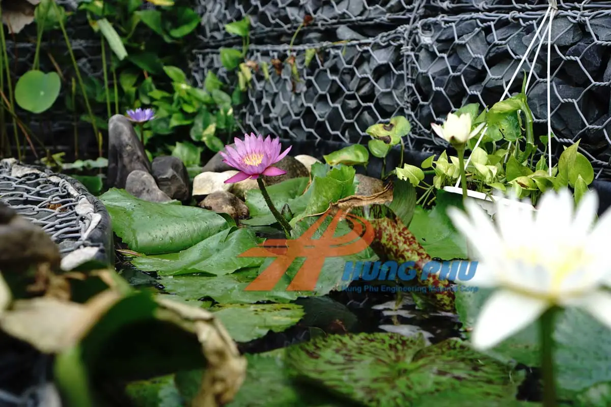 Màng chống thấm HDPE cảnh quan