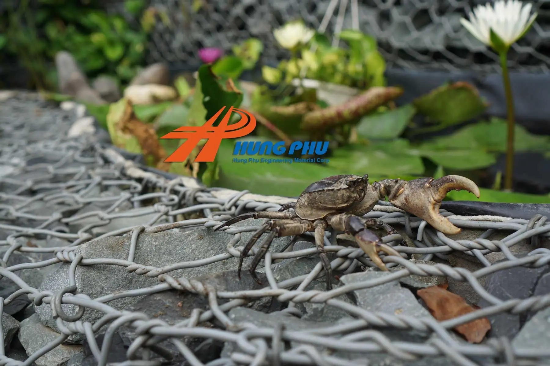 Màng chống thấm HDPE 