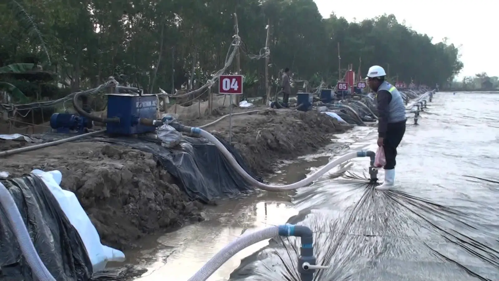 Hút chân không bằng bấc thấm đứng