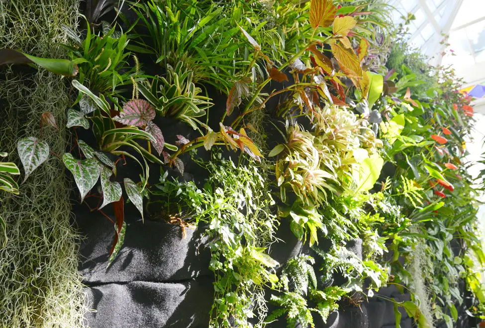 Túi vải treo tường