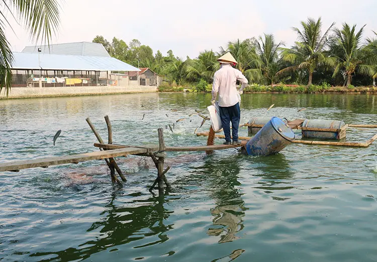 Các Hành Động Bảo Vệ Môi Trường Tại Sao và Làm Thế Nào?