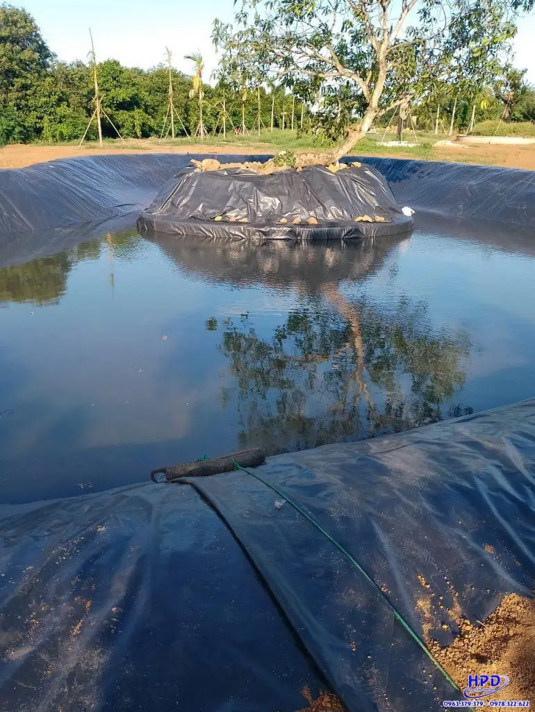 Bạt lót hồ cá HDPE - Giải pháp hoàn hảo cho hồ cá bền chặt, an toàn và vệ sinh