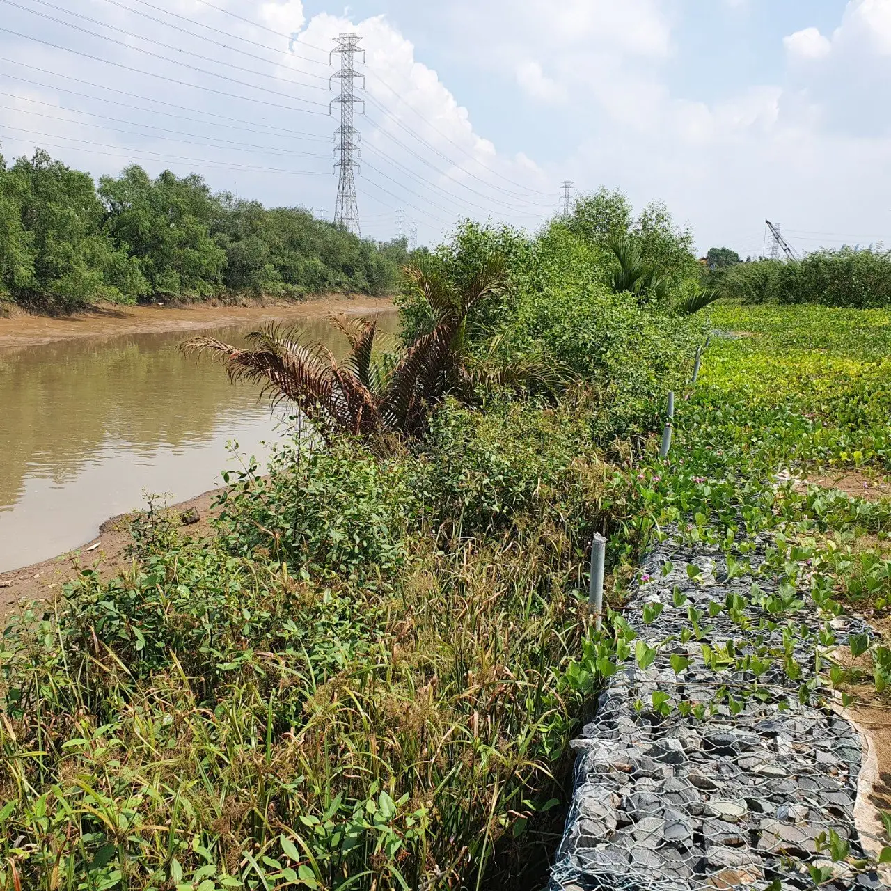 Thiết kế tường chắn trọng lực phổ biến với rọ đá hộc