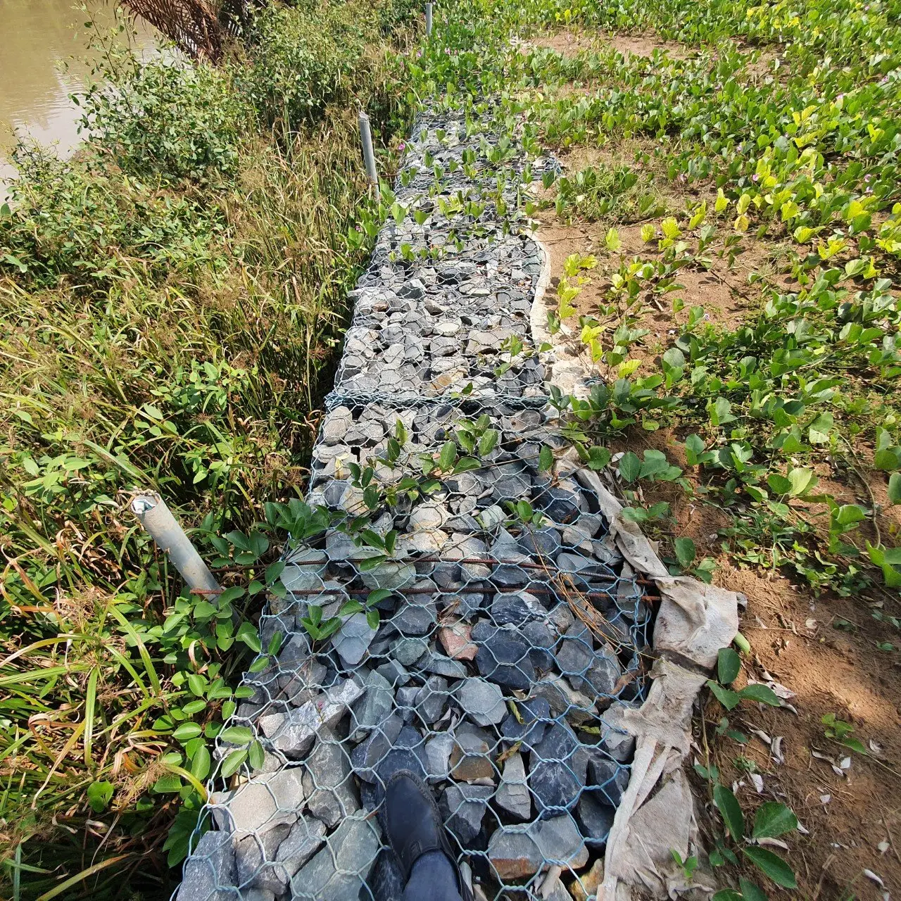 Rọ thép - Hay còn gọi là rọ đá lưới thép xoắn đôi, giải pháp kè mềm trong xây dựng tường chắn trọng lực