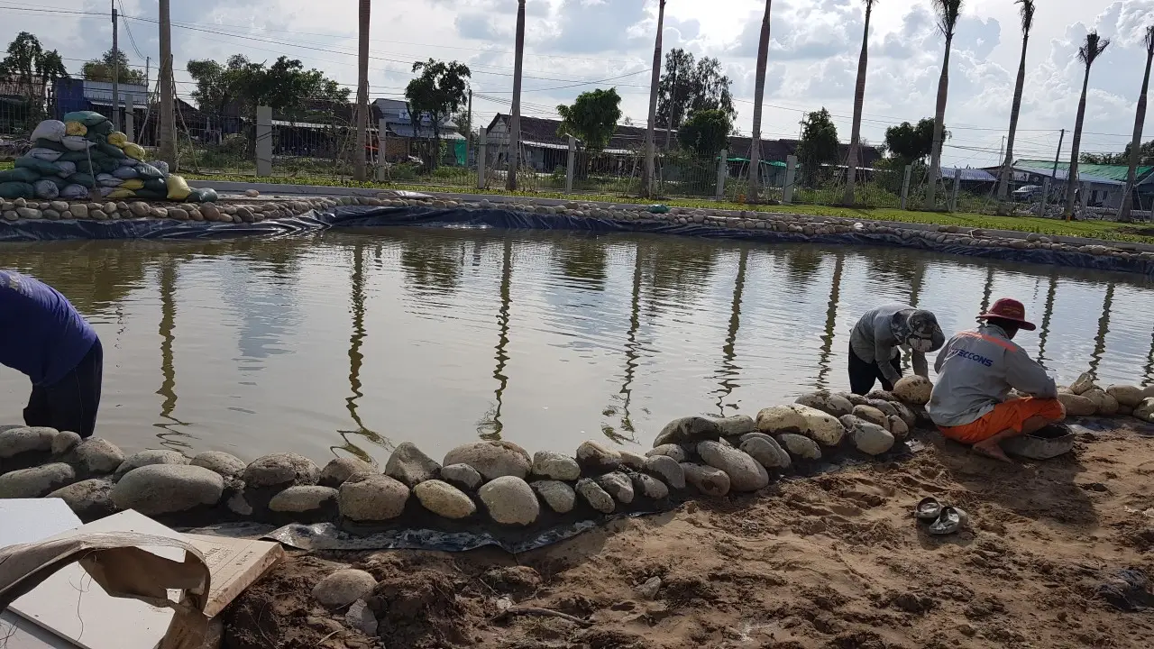 Màng chống thấm HDPE Solmax Giới thiệu, cam kết chất lượng, kinh nghiệm và giá trị tham khảo