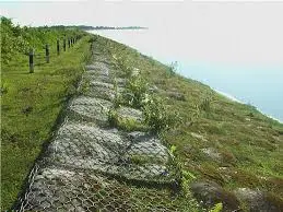 Túi địa kỹ thuật