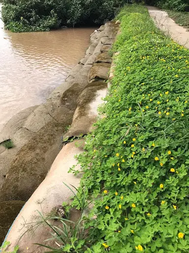 Vải địa kỹ thuật ART 15