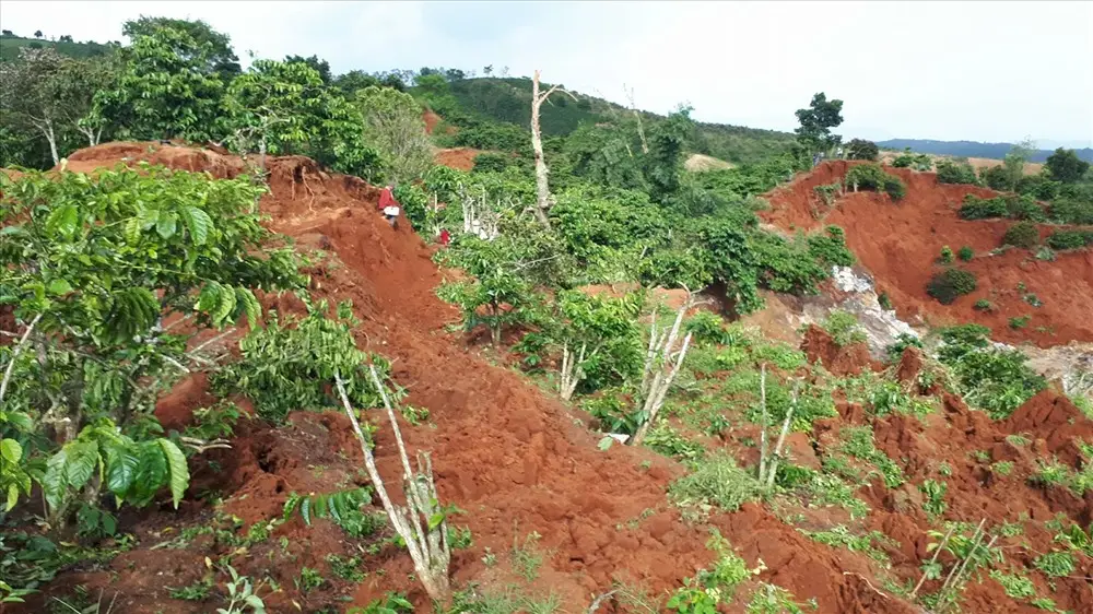 Nguyên nhân sạt lở đất: Tìm hiểu và giải pháp phòng tránh hiệu quả