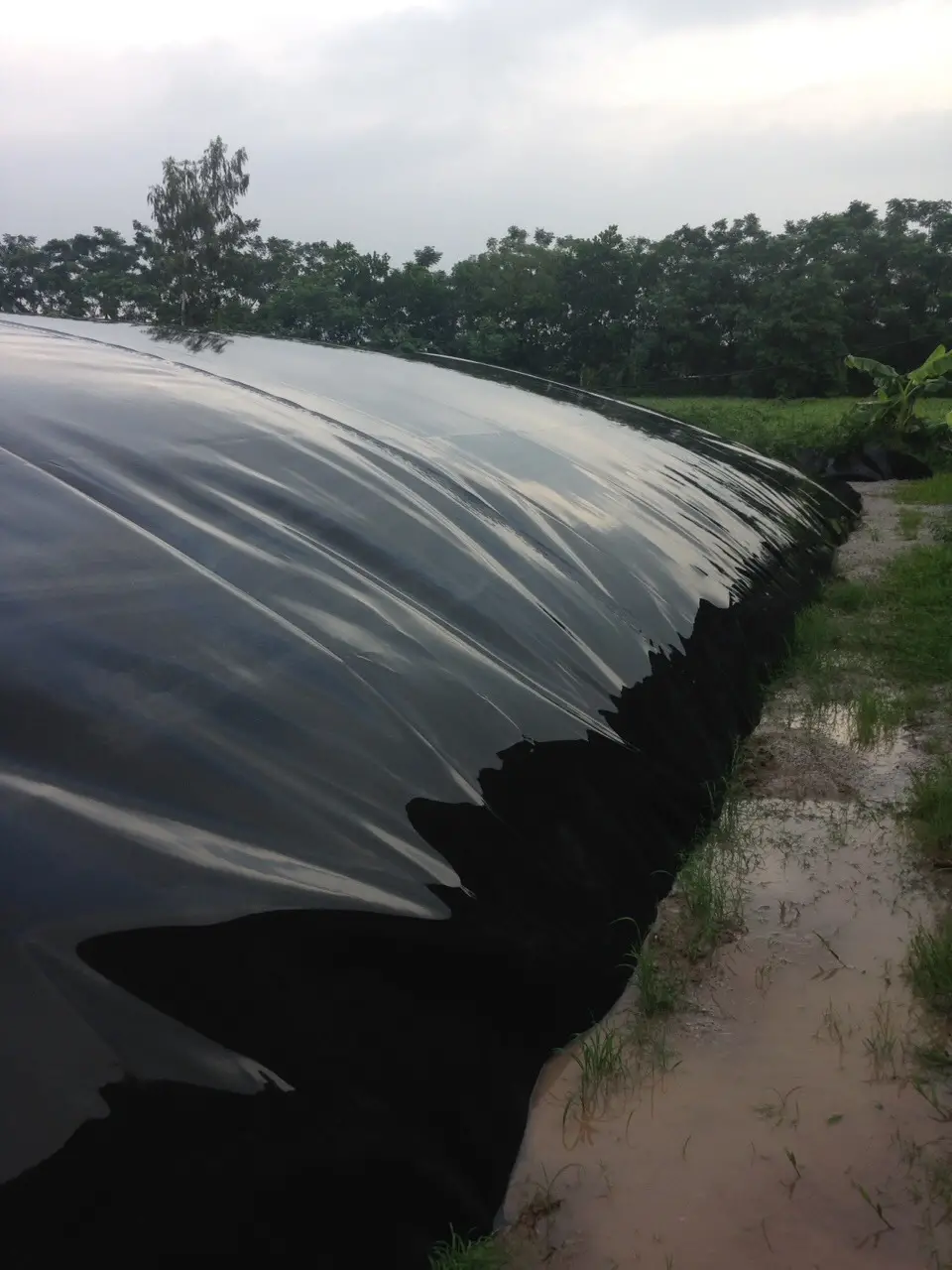 Thi công hầm biogas bằng màng HDPE giá rẻ - Những điều cần lưu ý Thi công hầm biogas bằng màng HDPE giá rẻ - Những điều cần lưu ý