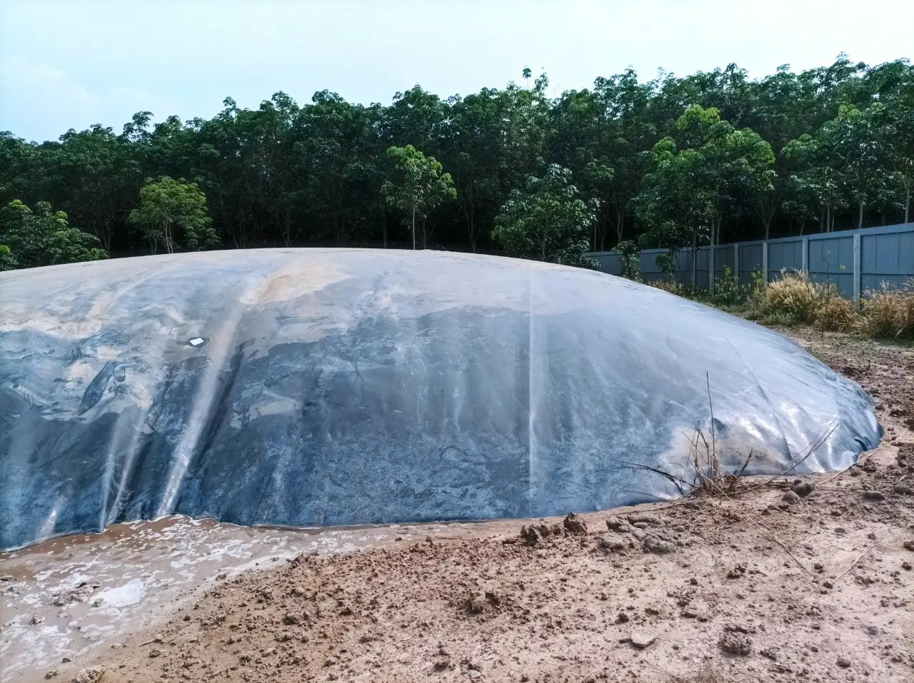 Thi công hầm biogas bằng màng HDPE giá rẻ - Những điều cần lưu ý Thi công hầm biogas bằng màng HDPE giá rẻ - Những điều cần lưu ý