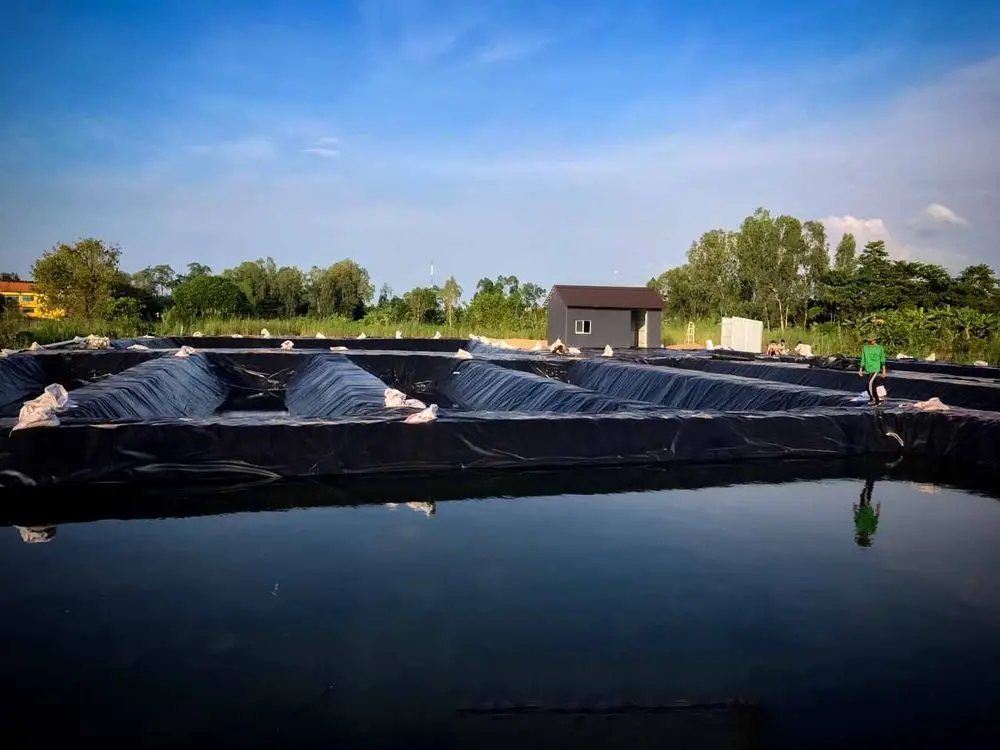Màng chống thấm HDPE nhập khẩu - Đắt tiền, tốn thời gian nhưng hiệu quả và tuổi thọ công trình cao