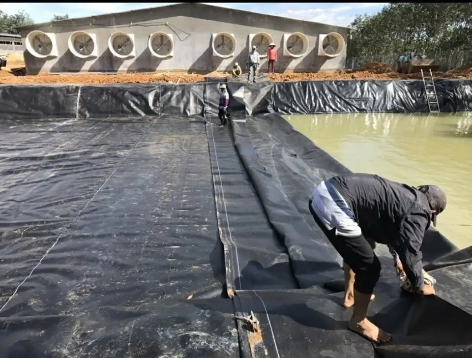 Bạt nhựa HDPE lót hầm biogas Giải pháp tối ưu cho xử lý chất thải và năng lượng sạch