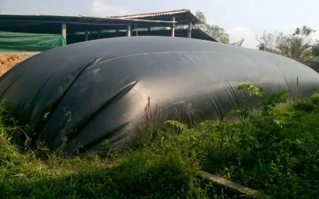 Bạt nhựa HDPE lót hầm biogas Giải pháp tối ưu cho xử lý chất thải và năng lượng sạch Bạt nhựa HDPE lót hầm biogas Giải pháp tối ưu cho xử lý chất thải và năng lượng sạch