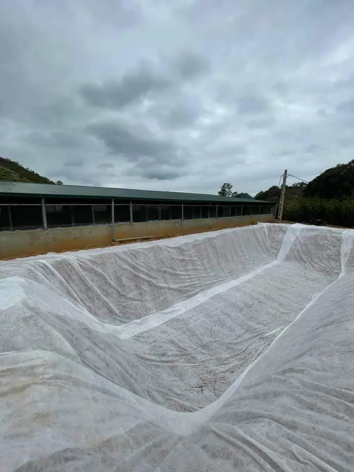 Vải Địa Kỹ Thuật VNT ứng dụng trong xây dựng đường giao thông