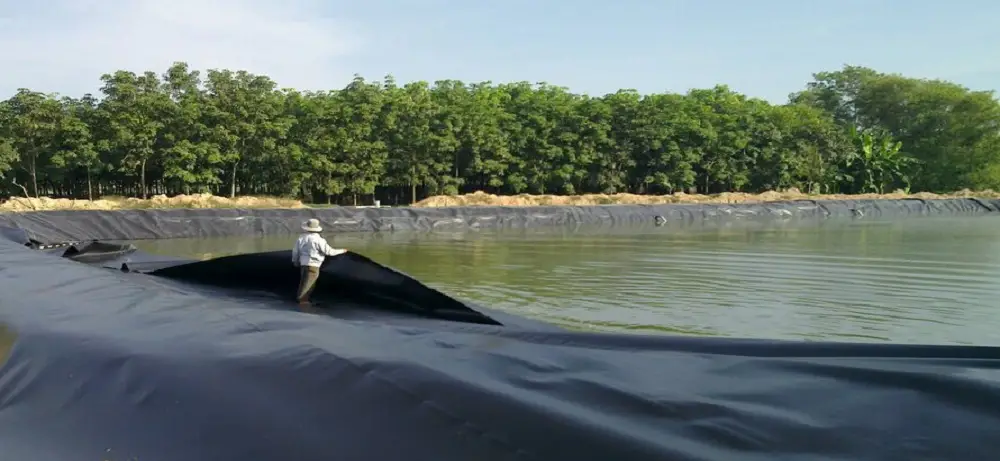 Bạt nhựa chống thấm Giá trị và ứng dụng trong cuộc sống