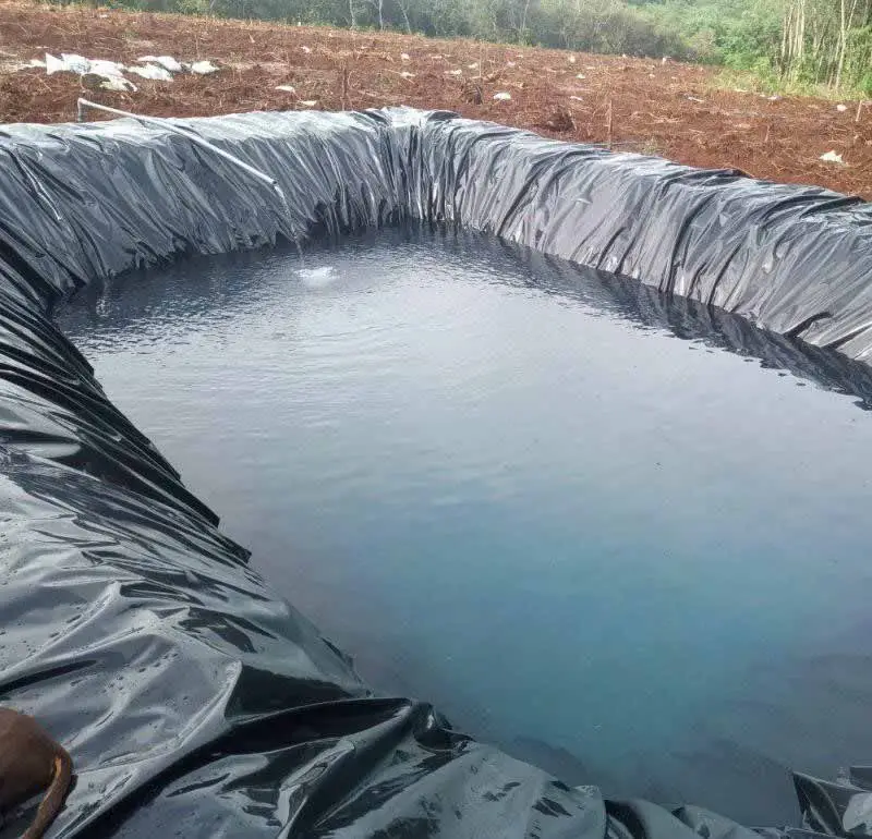 Bạt nhựa chống thấm Giá trị và ứng dụng trong cuộc sống