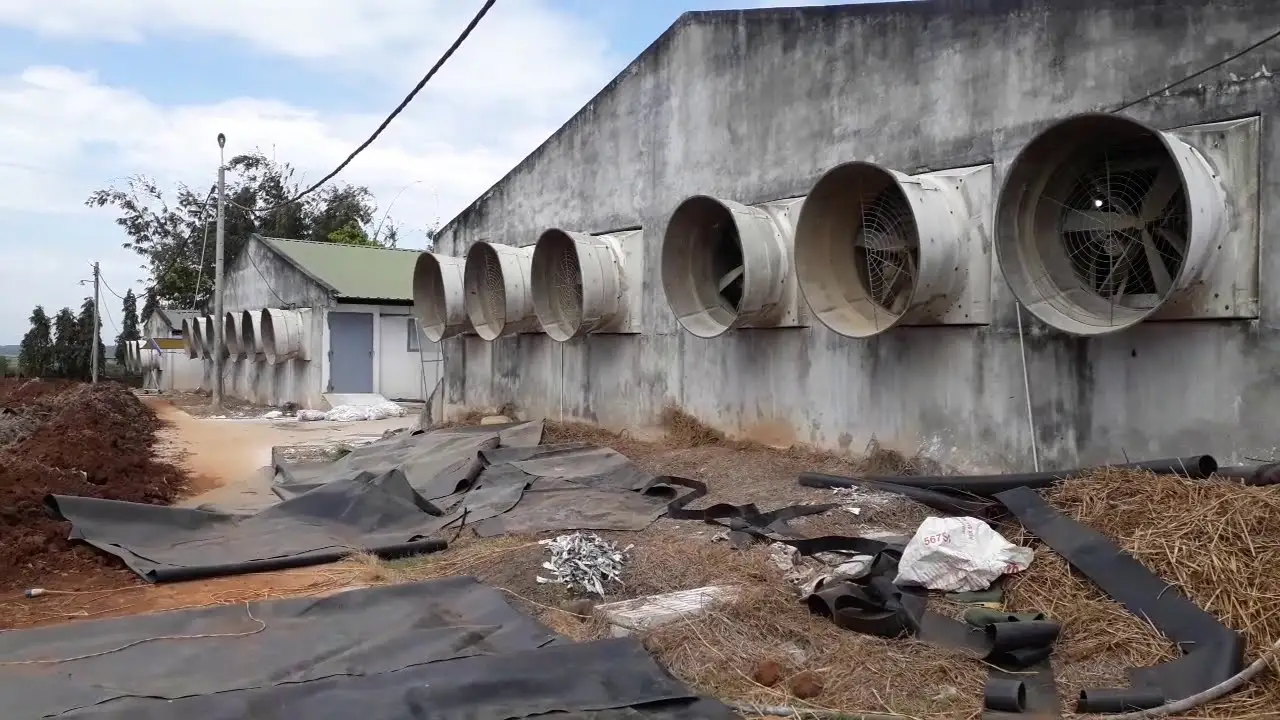 Giá bạt nhựa HDPE 0.5 mm Khám phá giá cả, chất lượng và ứng dụng