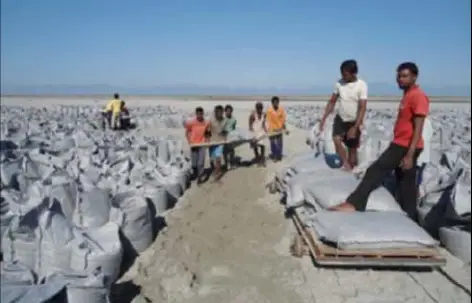 Túi địa kỹ thuật