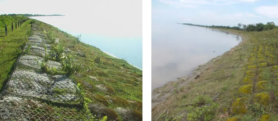 Túi địa kỹ thuật và thảm thực vật