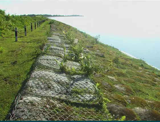 Túi địa kỹ thuật 