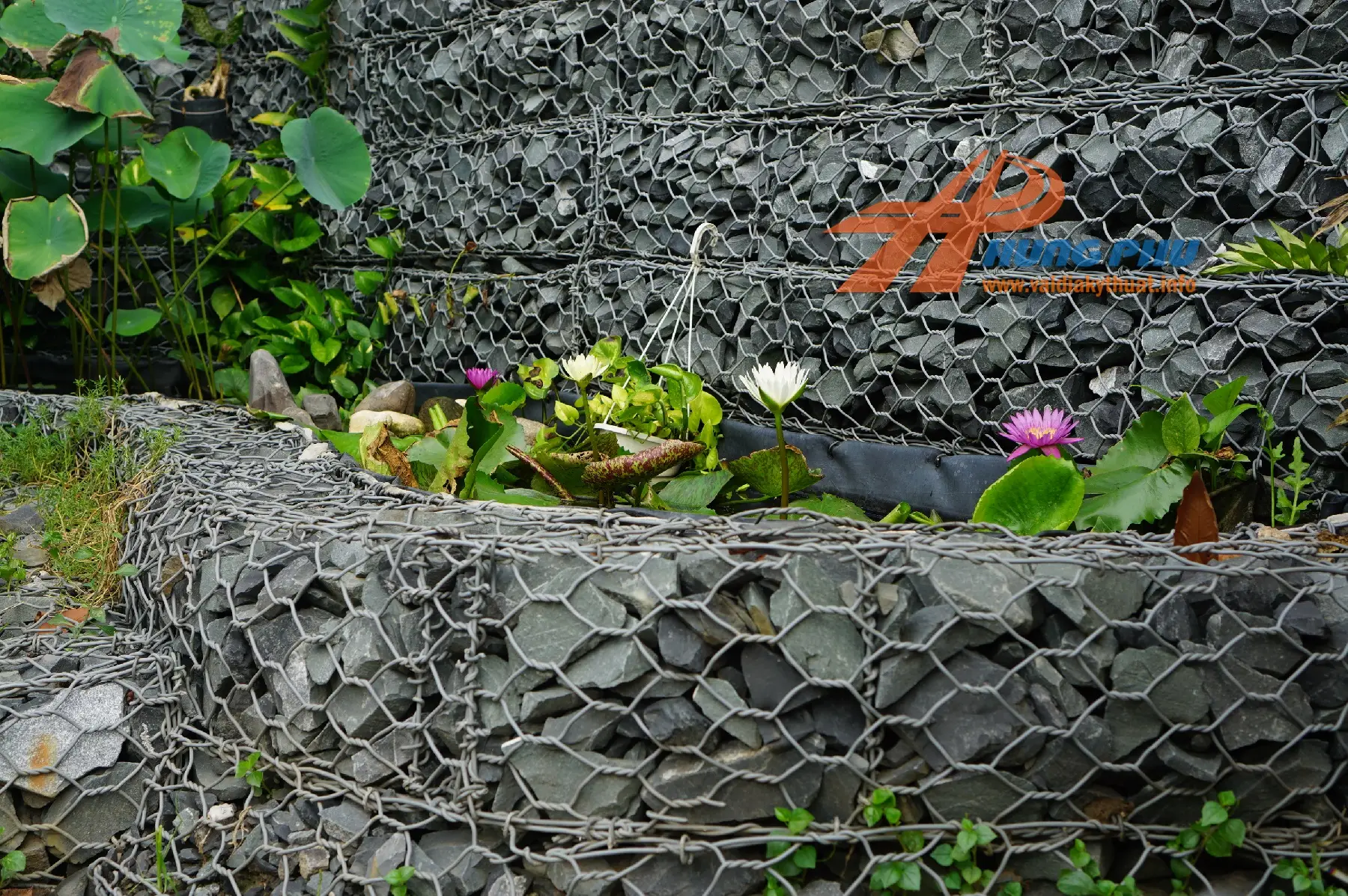 Rọ đá trang trí tường cảnh quan và chút "mạn đàm" về phong thủy