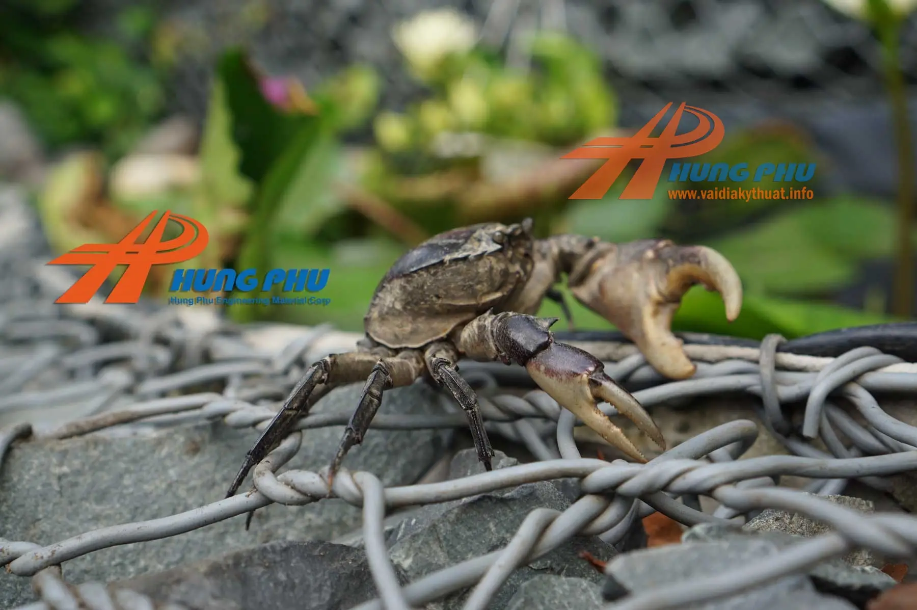 Rọ đá trang trí tường cảnh quan và chút "mạn đàm" về phong thủy