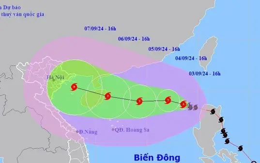 Sạt lở đất Nguyên nhân và tác động