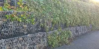 Chống sạt lở đất