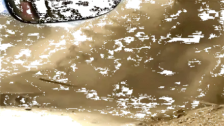 Sạt lở đất là gì ? Những hậu quả của nó mang lại cho con người như thế nào ?