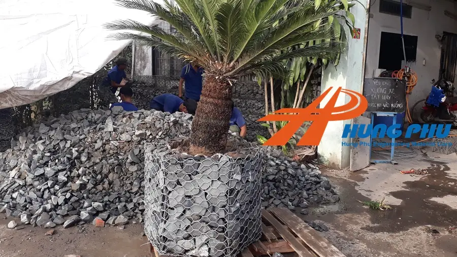 Vải địa trồng cây Giải pháp hiện đại cho sự phát triển bền vững