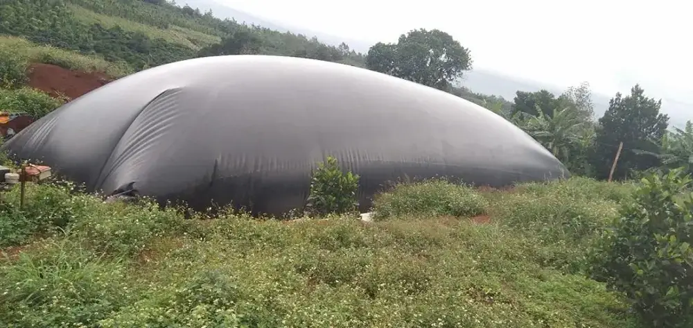 Hầm Biogas Phủ Bạt Nhựa HDPE, giải pháp sáng tạo cho năng lượng tái tạo
