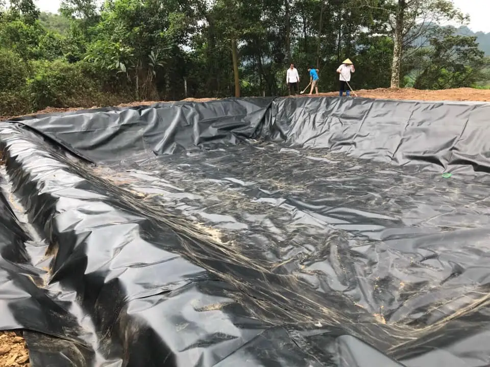 Hầm Biogas Phủ Bạt Nhựa HDPE, giải pháp sáng tạo cho năng lượng tái tạo