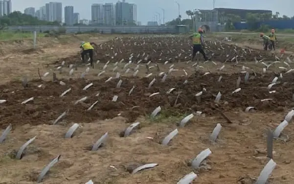 Bấc Thấm RID75 Một Giải Pháp Địa Kỹ Thuật Hiện Đại