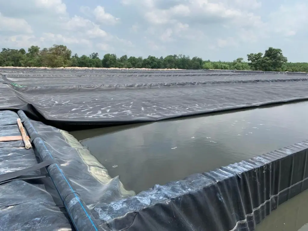 Bạt HDPE lót hồ nuôi tôm giá bao nhiêu?