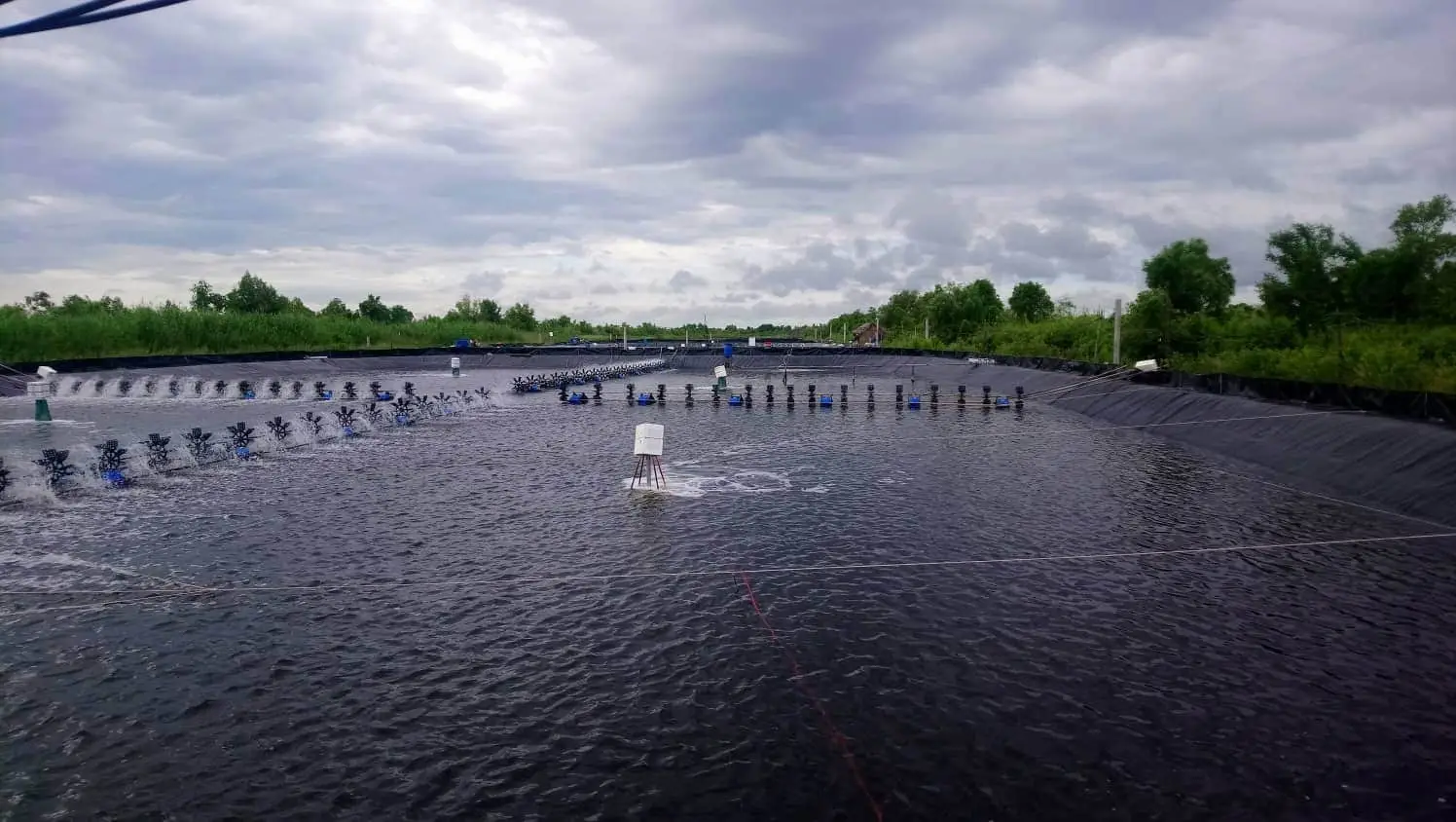 Bạt HDPE lót hồ nuôi tôm giá bao nhiêu?