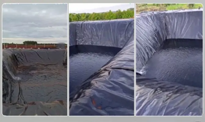 Bạt HDPE lót hồ nuôi tôm giá bao nhiêu?