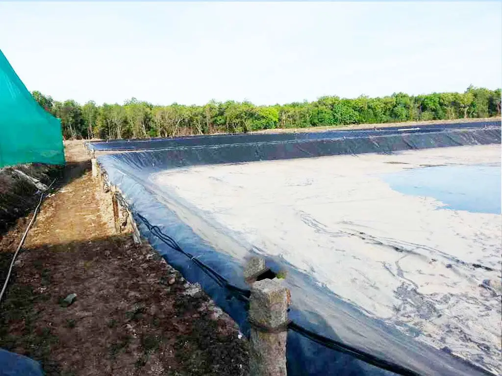 Bạt HDPE lót hồ nuôi tôm giá bao nhiêu?