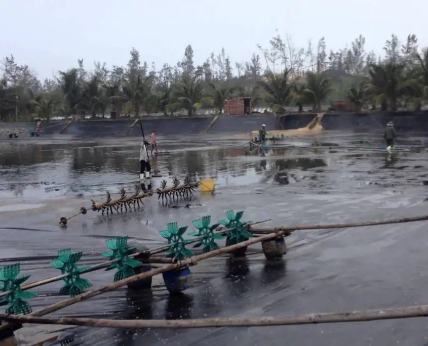 Bạt HDPE 0.3 mm giá bao nhiêu?