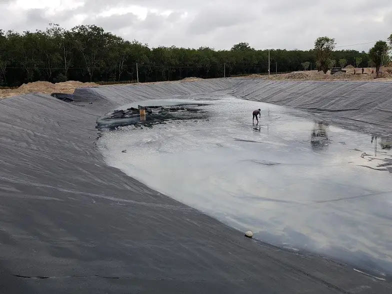 Bạt HDPE 0.75 mm giá bao nhiêu?