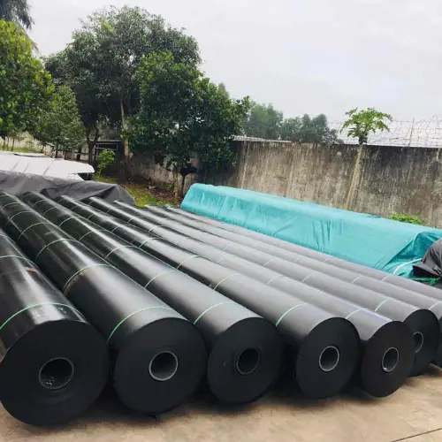 Bạt lót ao HDPE - Giải pháp tối ưu cho hồ cá và môi trường nước sạch