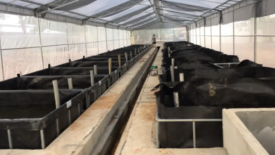 Bạt lót ao HDPE - Giải pháp tối ưu cho hồ cá và môi trường nước sạch