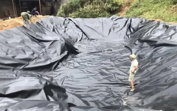 Bạt lót ao HDPE - Giải pháp tối ưu cho hồ cá và môi trường nước sạch