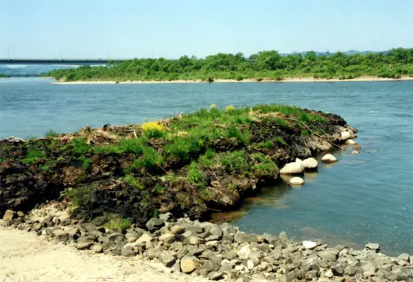 Rọ Đá Polyester Giải Pháp Xây Dựng Thông Minh Bền Vững Rọ Đá Polyester Giải Pháp Xây Dựng Thông Minh Bền Vững