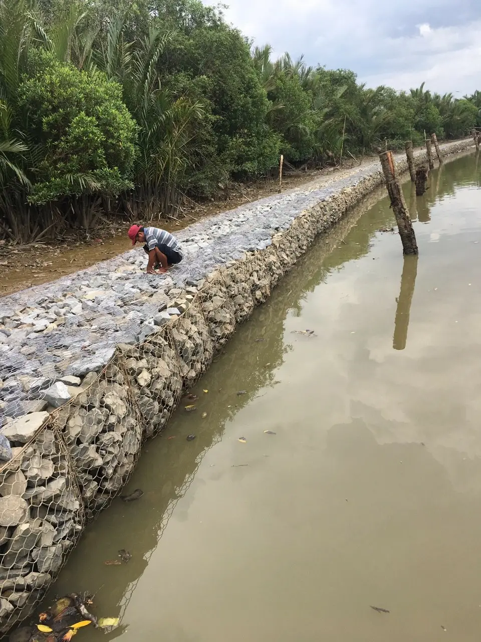 Xếp Chồng Rọ Đá Chắn Sóng - Giải Pháp Bền Vững Ven Biển