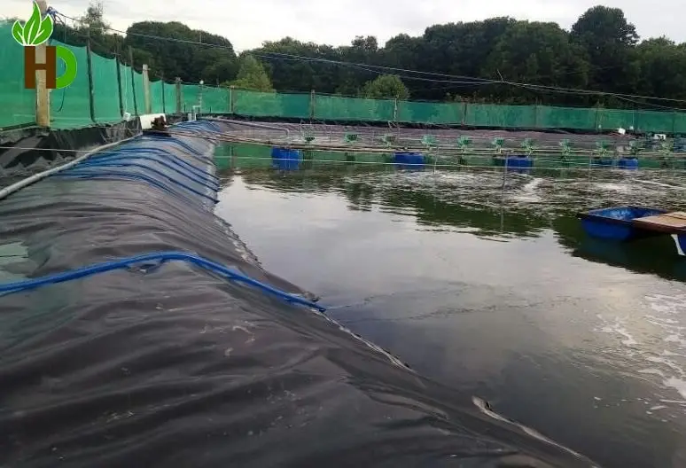 Bạt Lót Ao HDPE Giải Pháp Hiệu Quả Cho Nghề Nuôi Trồng Thủy Sản 33 Bạt Lót Ao HDPE Giải Pháp Hiệu Quả Cho Nghề Nuôi Trồng Thủy Sản